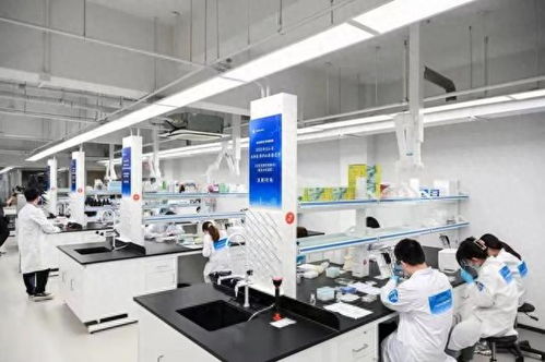 2023年寶山區(qū)生物醫(yī)藥職業(yè)技能競(jìng)賽個(gè)人決賽 聚焦生物化工產(chǎn)品技術(shù)研發(fā)，激發(fā)行業(yè)創(chuàng)新活力